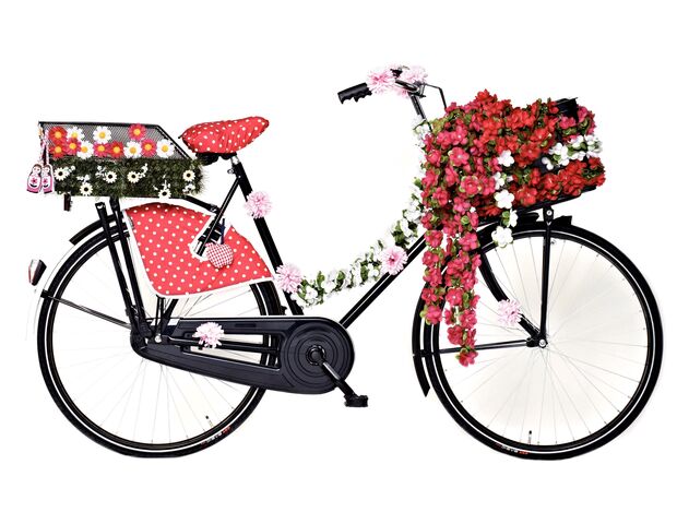 Basil Bloemslinger Rood