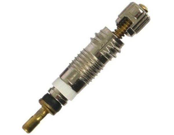 Schwalbe ventielinzetstuk frans