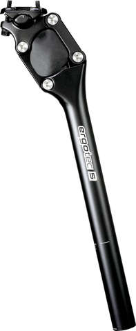 Ergotec zadelpen verend PM-705N 31.6 x 350