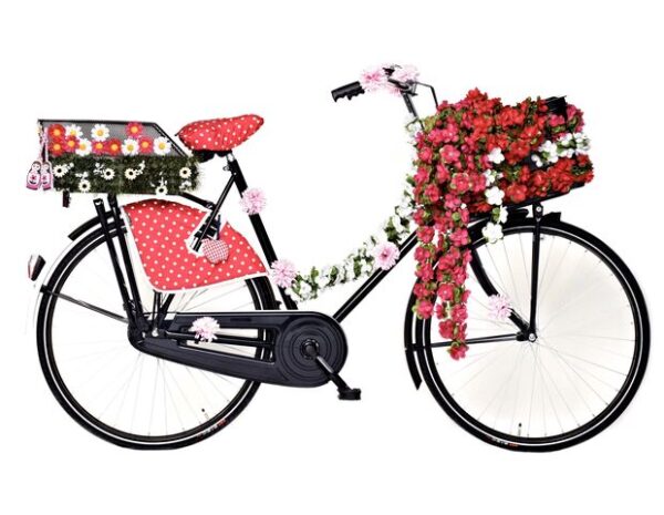 Basil Bloemslinger Rood